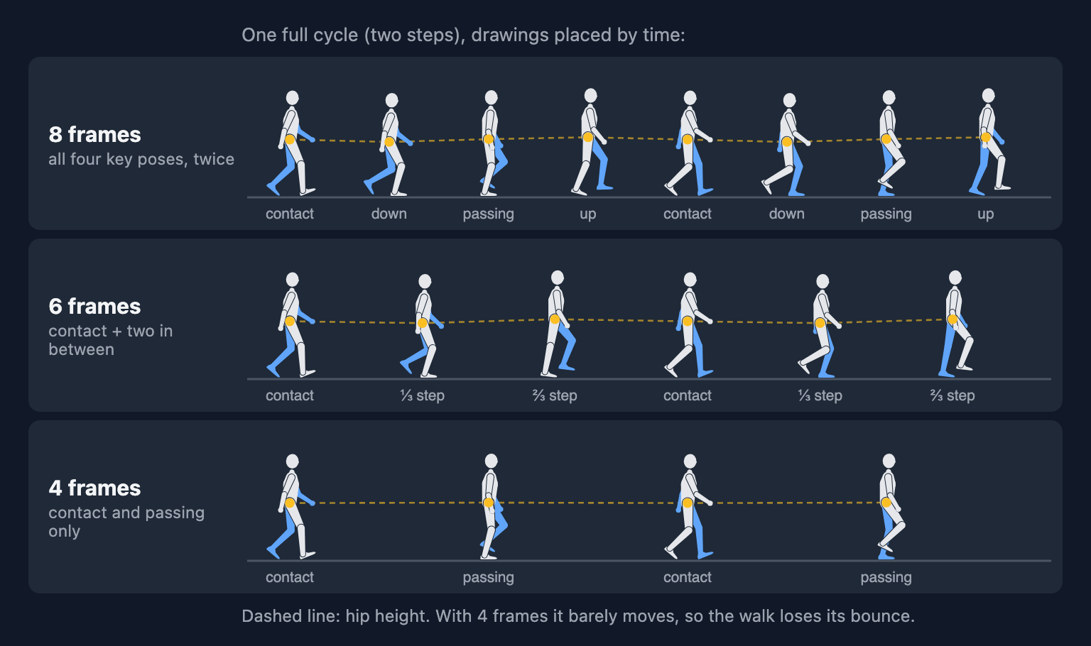 Three rows of walk drawings placed by time: 8 frames show contact, down, passing and up twice; 6 frames show contact and drawings at a third and two thirds of a step; 4 frames show only contact and passing, with an almost flat hip line